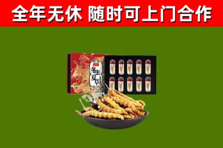 宜兰烟酒回收冬虫夏草礼盒.jpg